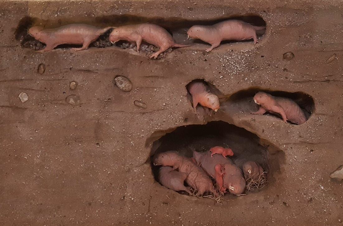 Niederschwelligkeit kann unser Klima retten!